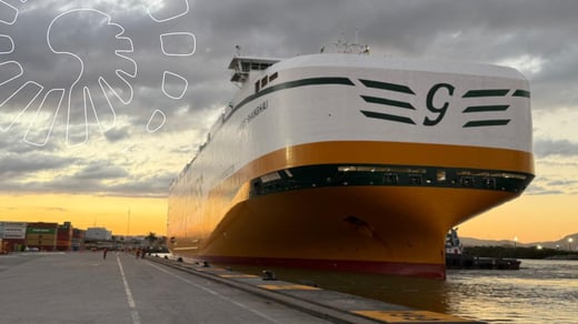 A grandiosidade da importação automotiva e o novo momento do Porto de Itajaí