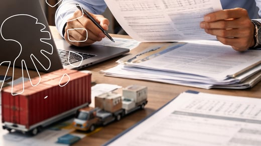 Adesão faseada da ANVISA à DUIMP: o que muda na importação de produtos regulados?